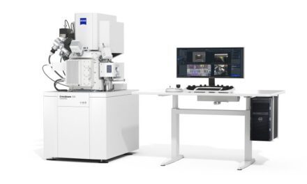 Microscope électronique à balayage à faisceau d’ions focalisé pour semi-conducteurs